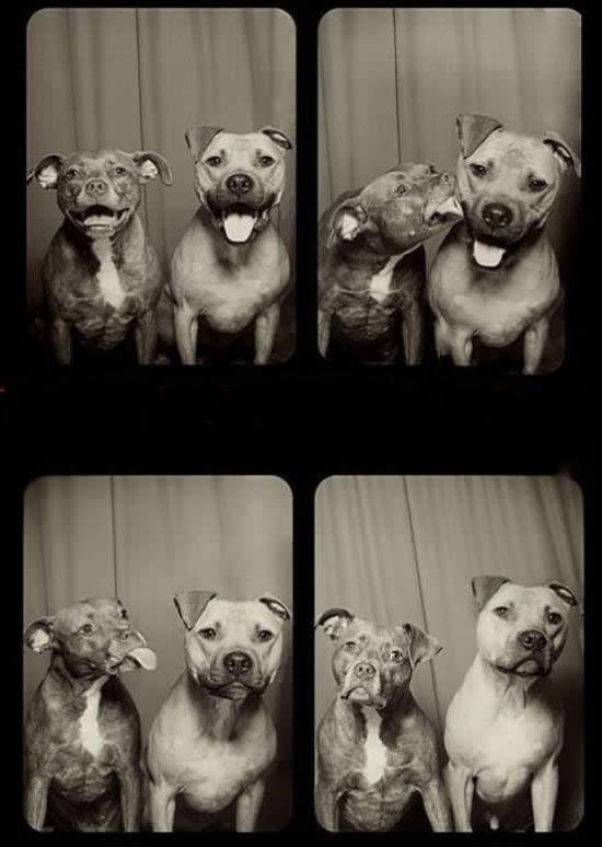 "Tužna" ljubavna priča o odbijanju u četiri čina