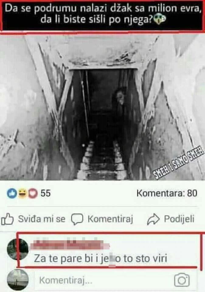 Odgovor na pitanje - bi li ih spodoba iz podruma spriječila da odu po milijun eura - nasmijao je mnoge