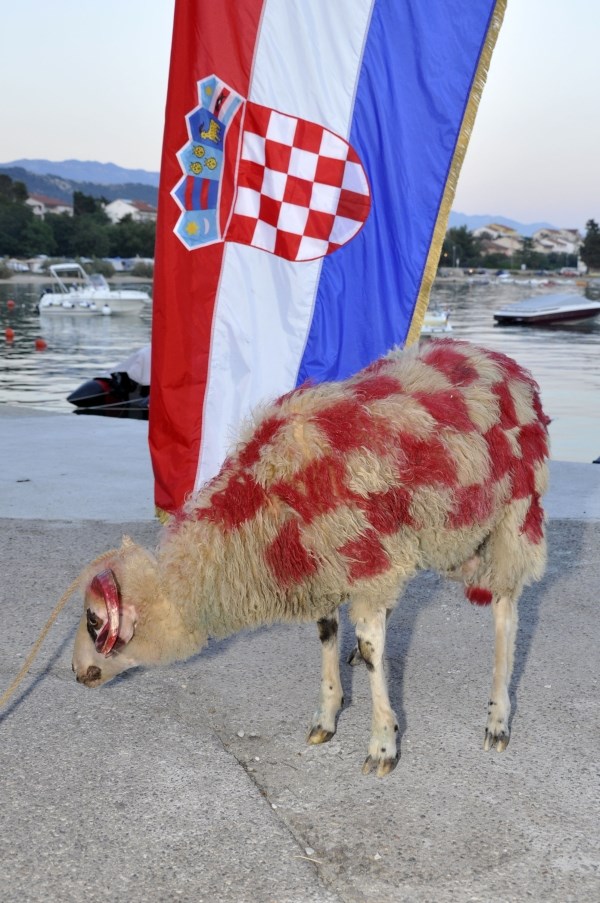 Ovce sinoć navijale za Hrvatsku