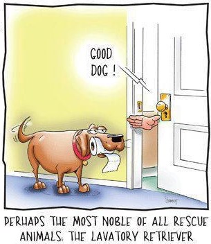 Dokaz da su psi najbolji čovjekovi prijatelji :D