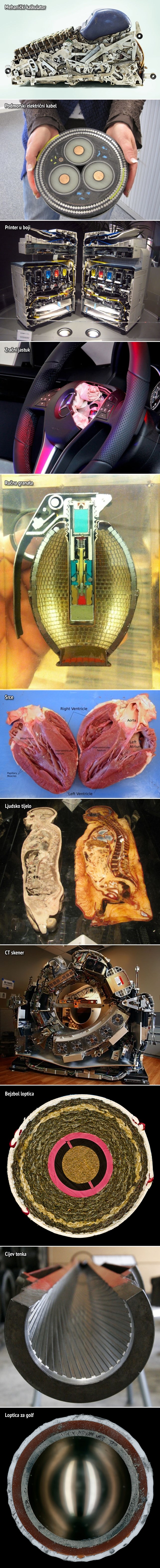 Galerija: Prepoznajete li ove stvari prerezane napola?