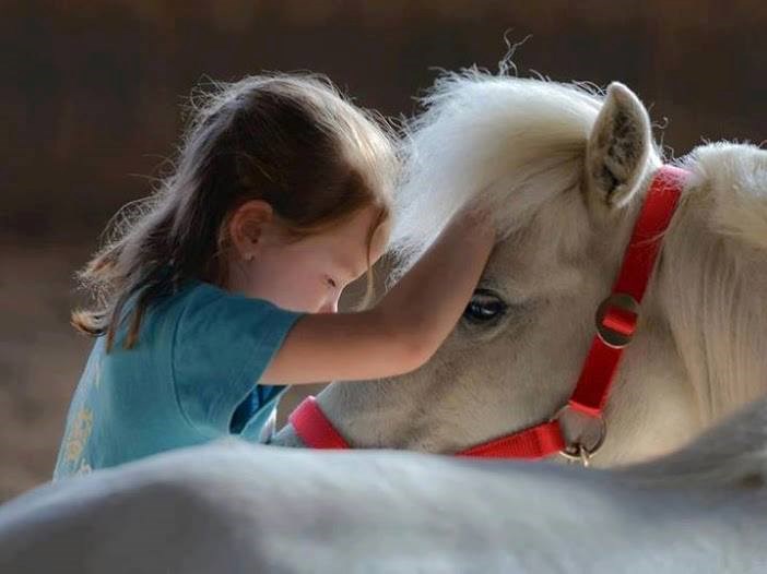 Konjić joj je malo bolestan, pa ga tješi da brže ozdravi