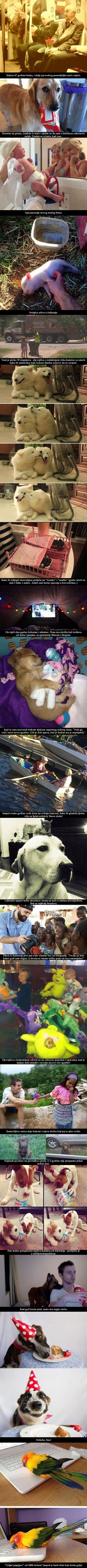 Galerija: Lijepa i slatka strana života