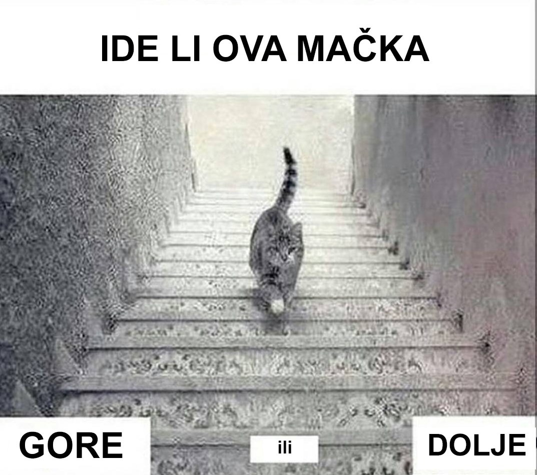 BRZINSKA PROVJERA VIDA: je li ova maca krenula uz ili niz stepenice? 