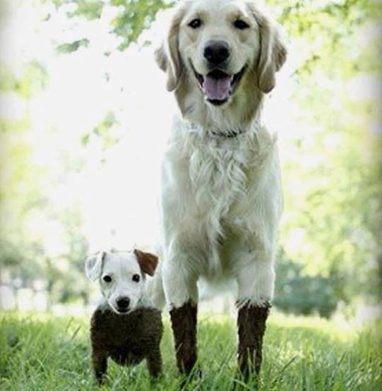 Prijatelji su tu da skupa radite najveće psine