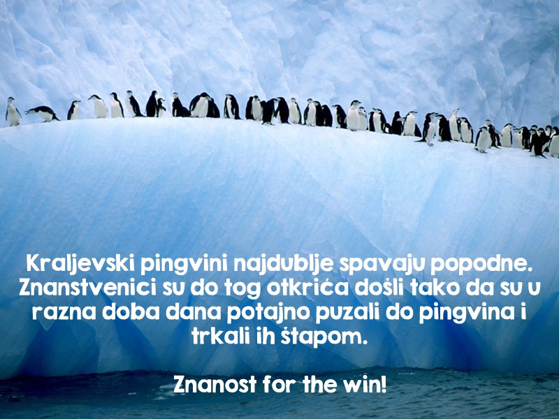 Za dokaze se treba pomučiti