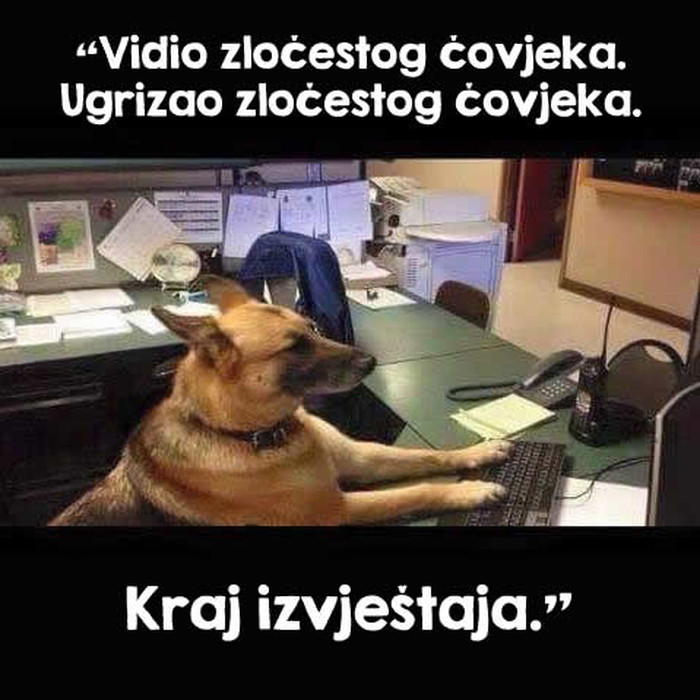 Policijski pas odrađuje papirologiju nakon akcije