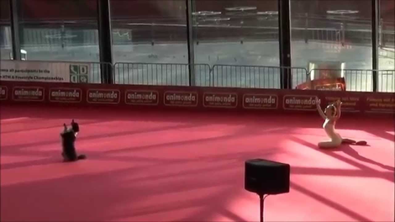 Apsolutni hit: Ples sa psom koji je oduševio sve!