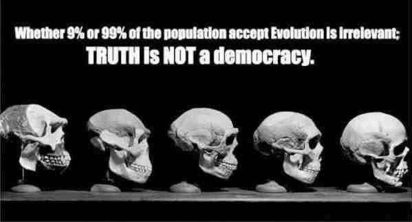 Evolucija nam je podarila mozak, mi smo ga zgazili u prašinu