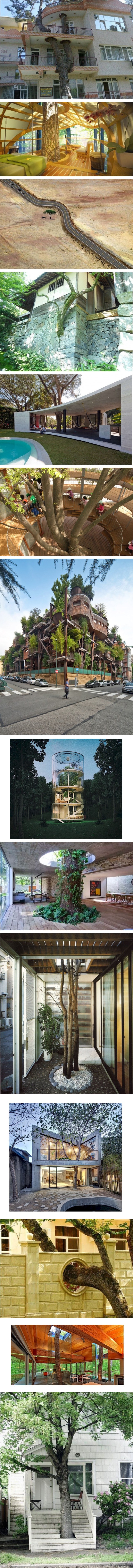 14 primjera kada su ljudi dali prednost prirodi nad gradnjom, a rezultati toga predivni su