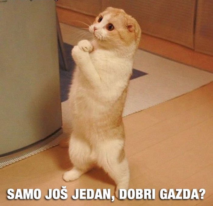 Ultradobra maca moli za još jedan keksić