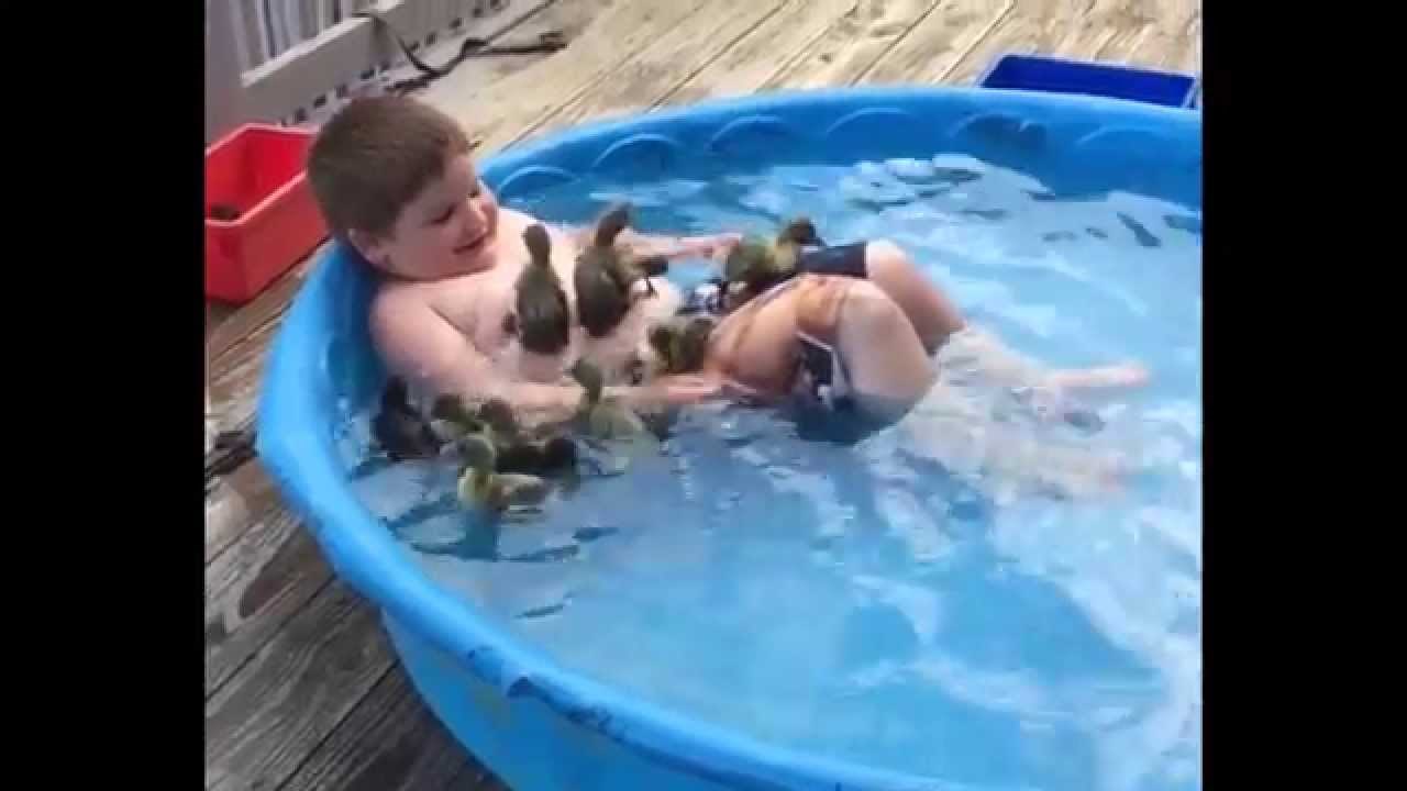 VIDEO: Može! Bazen s pačićima na terasi zvuči savršeno