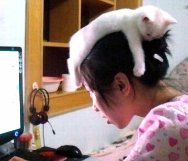 Traženje pažnje do ekstrema