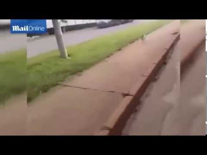 SRCEPARAJUĆI VIDEO Pas trči za vozilom hitne pomoći u kojem je bio njegov vlasnik!