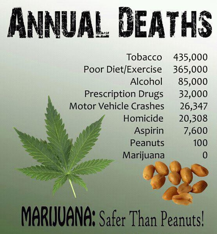 Marihuana je sigurnija od kikirikija?