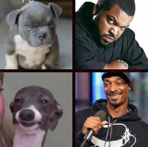 Ice Cube i Snoop Dogg našli dvojnike