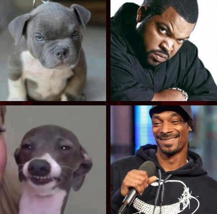 Ice Cube i Snoop Dogg našli dvojnike
