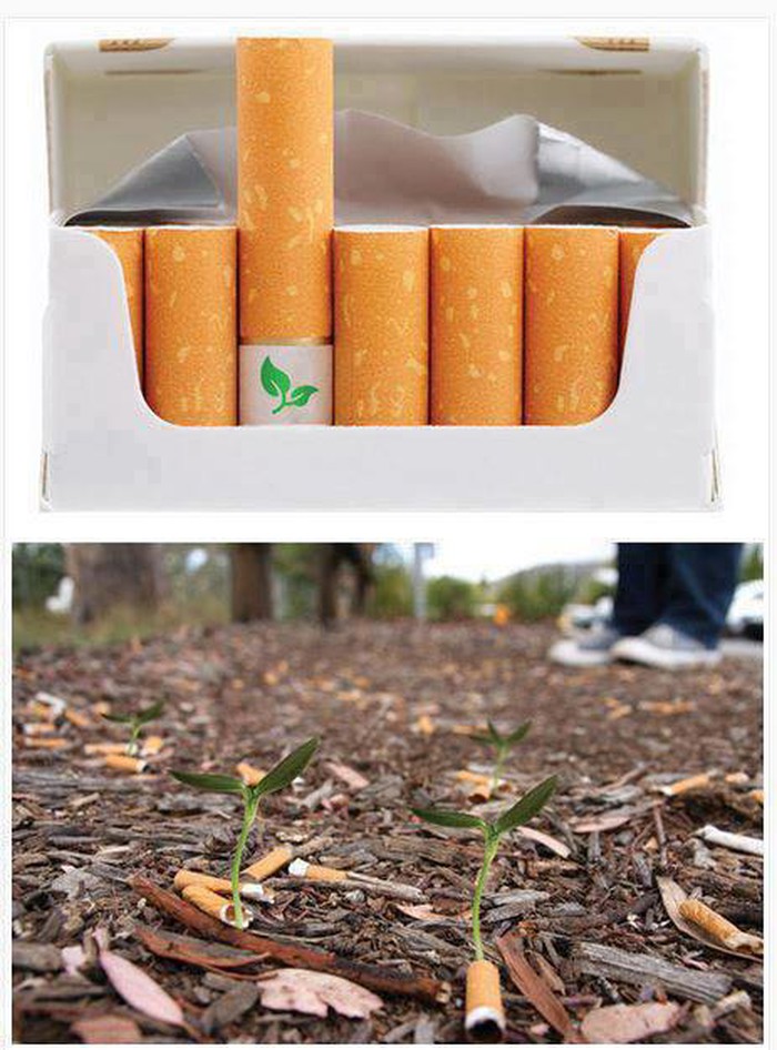 Ekocigarete sa sjemenkama biljaka u filteru