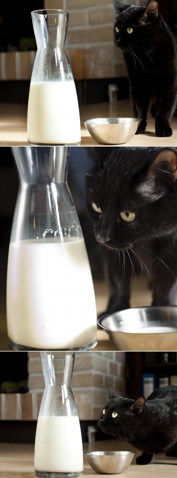 Maci ni aflatoksini u mlijeku ne smetaju da uživa u doručku