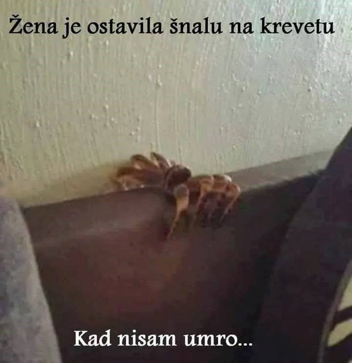 Žena je ostavila šnalu na krevetu, muž joj je skoro umro od straha!