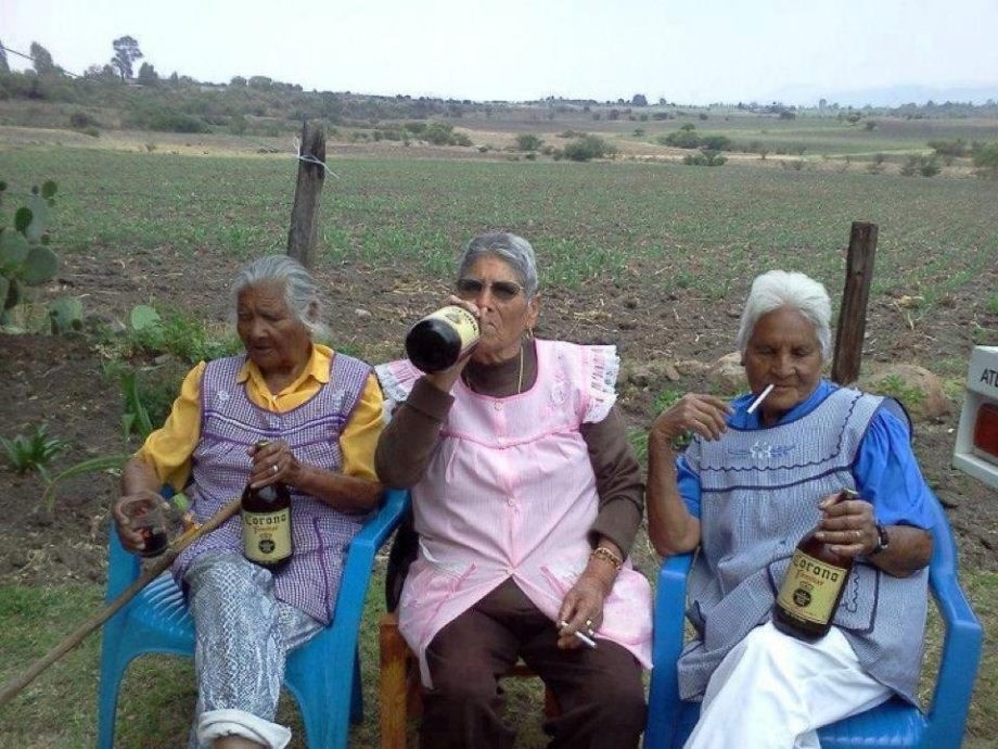 Opake bake loču "krmače" dok odmaraju od okopavanja vrta