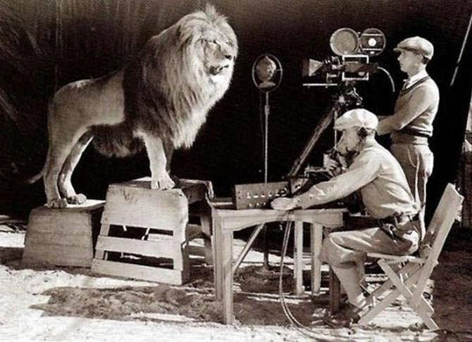 Snimanje legendarne "lavlje" špice