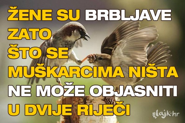 Kad se rodiš kao muško odmah dobiješ i pretplatu na "Kriv sam za sve"