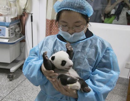 Jeeeeej, rođen sam!