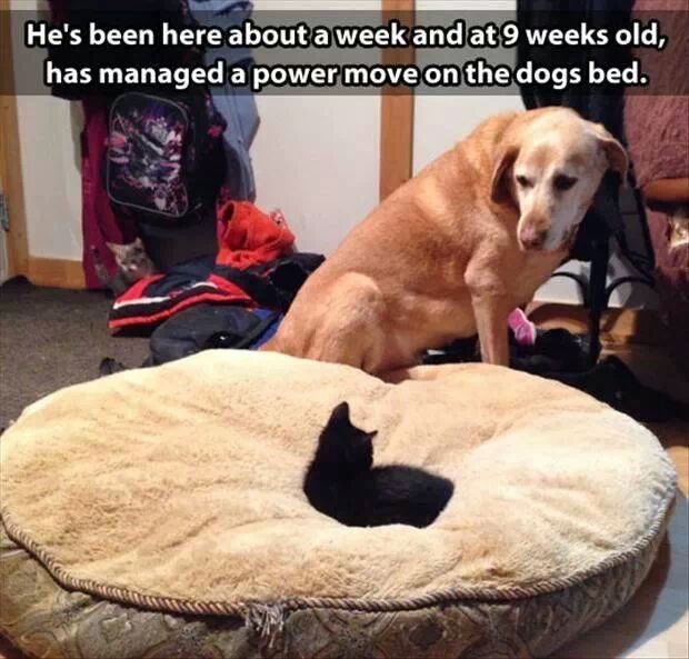 Sila je na njegovoj strani