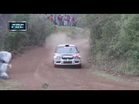 Čudo ga je spasilo: Ovo je najsretniji pas na svijetu!