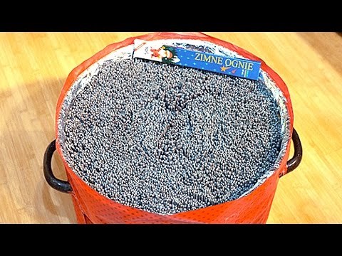 ISPUNJENJE DJEČJEG SNA: Zapalio 10 000 prskalica odjednom!