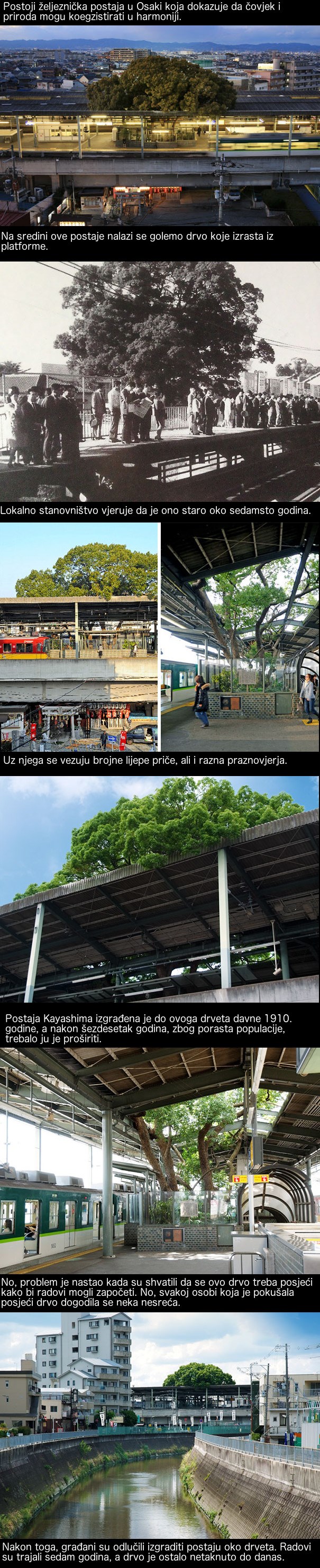 Ova je japanska postaja izgrađena oko drveta starog 700 godina, a razlog tomu je predivan