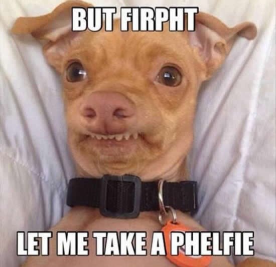 Najjači pseći selfie