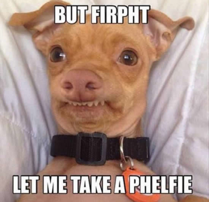 Najjači pseći selfie