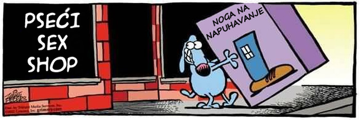 "Igračke" za pse 