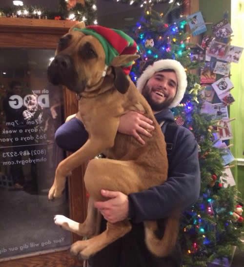 Najbolji poklon za Božić: Novi dom