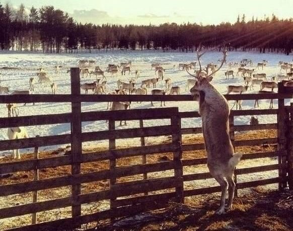 Dečki pred ženskom svlačionicom
