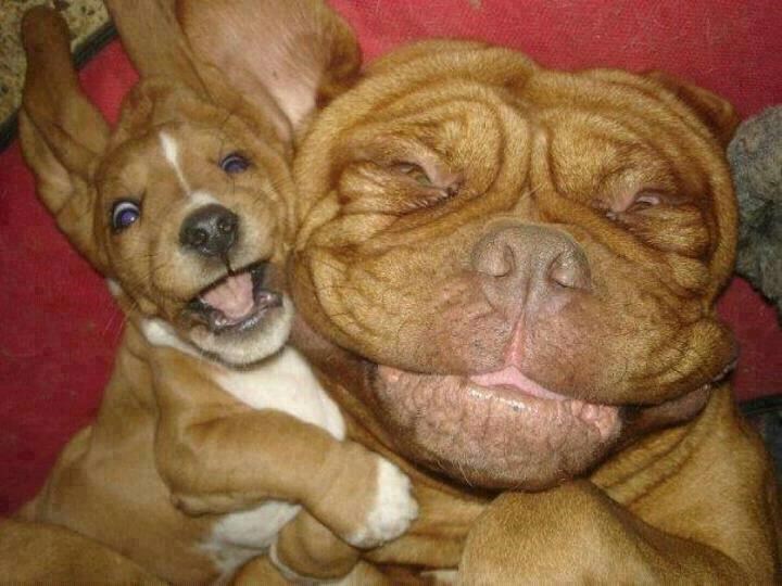 Igra se, igra se, igra se samnom!!!