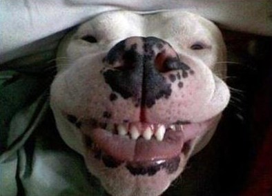 Onaj osjećaj kad skužiš da je srijeda neradni dan