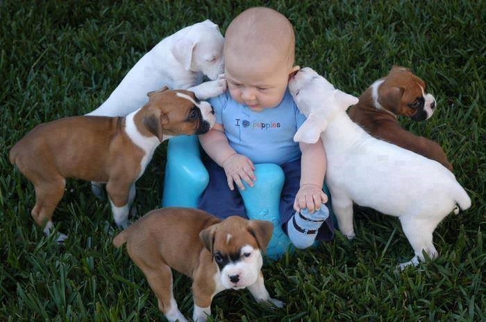 dođi da ti nešto šapnemo..