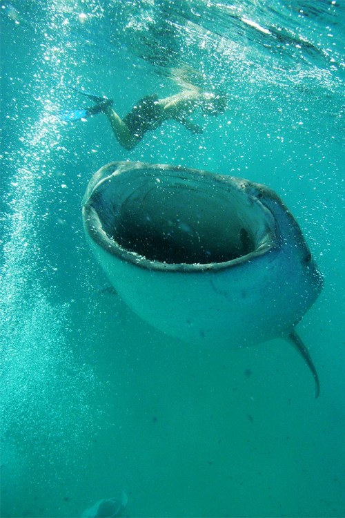 U krivo vrijeme na krivom mjestu