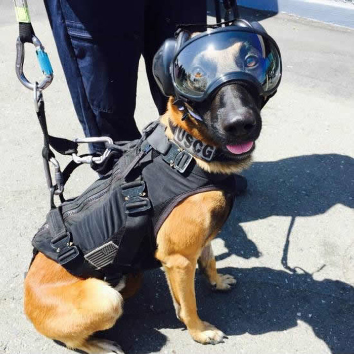 Spreman za skok iz helikoptera