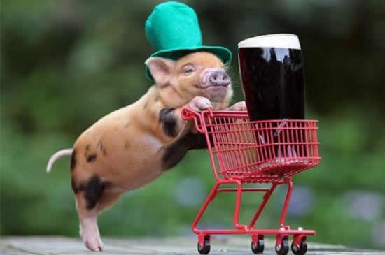 Planirate biti trijezni ostatak mjeseca?