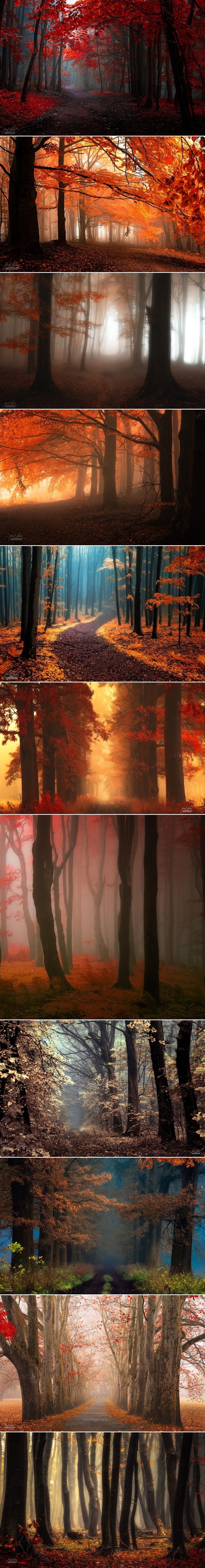 GALERIJA: Predivna mistična jutra jeseni