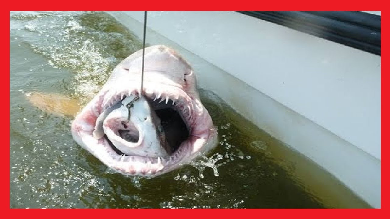 42 stvarne fotografije koje će vam oduzeti dah i natjerati vas da mislite da su fotošopirane