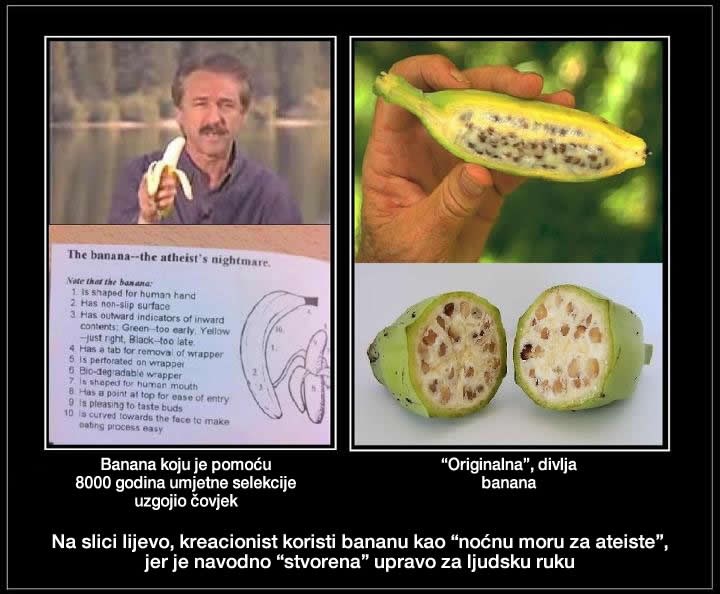 Ateisti, pazite se, banana ruši sve vaše teorije i mitove