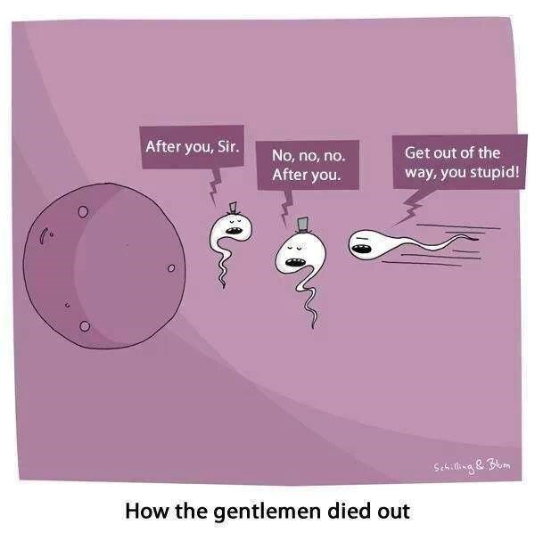 Kako su izumrli džentlmeni