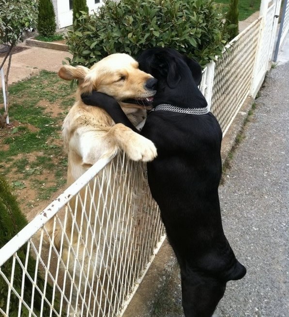 Prijatelju najdraži, sto godina se od jučer nismo vidjeli!