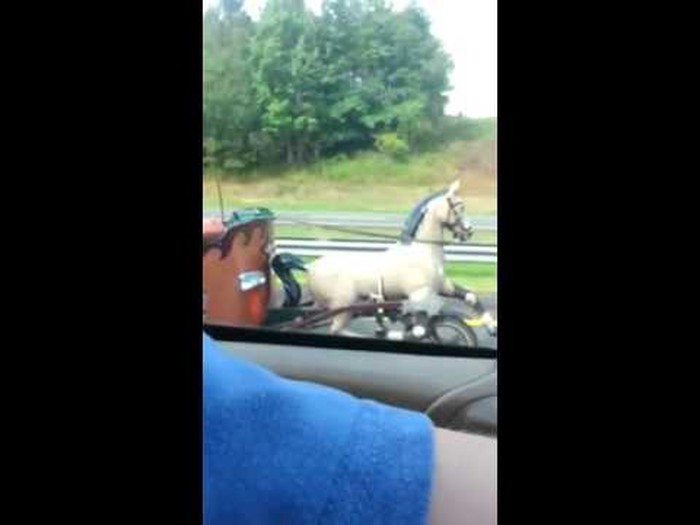 VIDEO: Najopakiji bajker na cesti