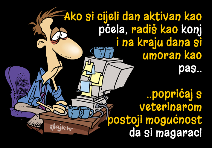 Iskoristi vikend, ne budi magare!